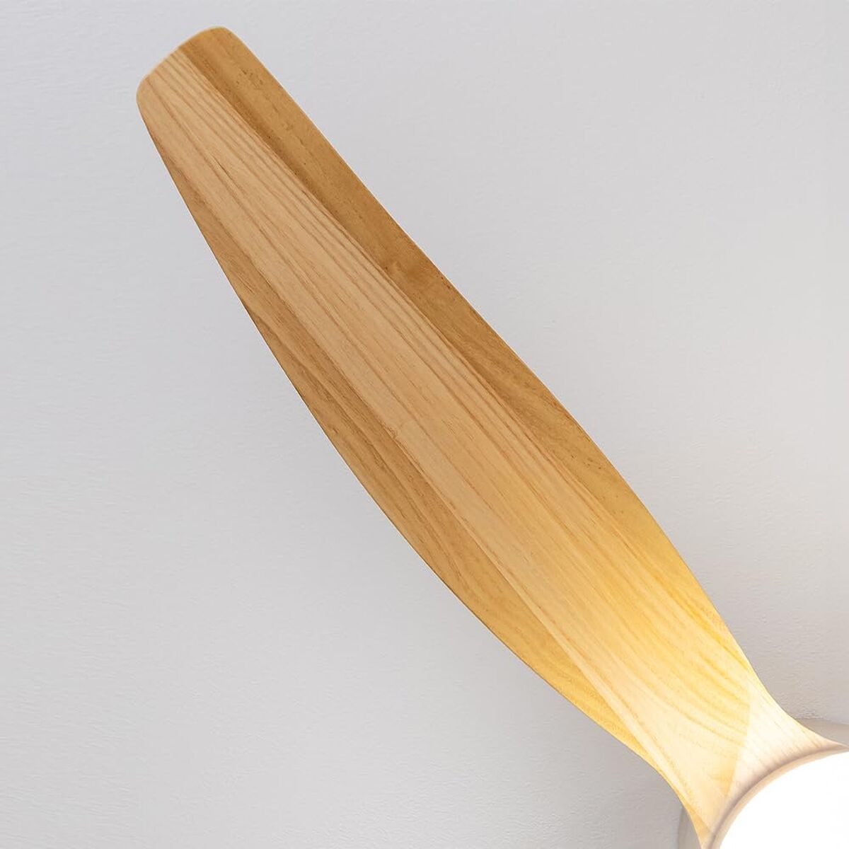 V2H89C45FE57C3E7A4C1E7BC196E6A42E80R7709001P5