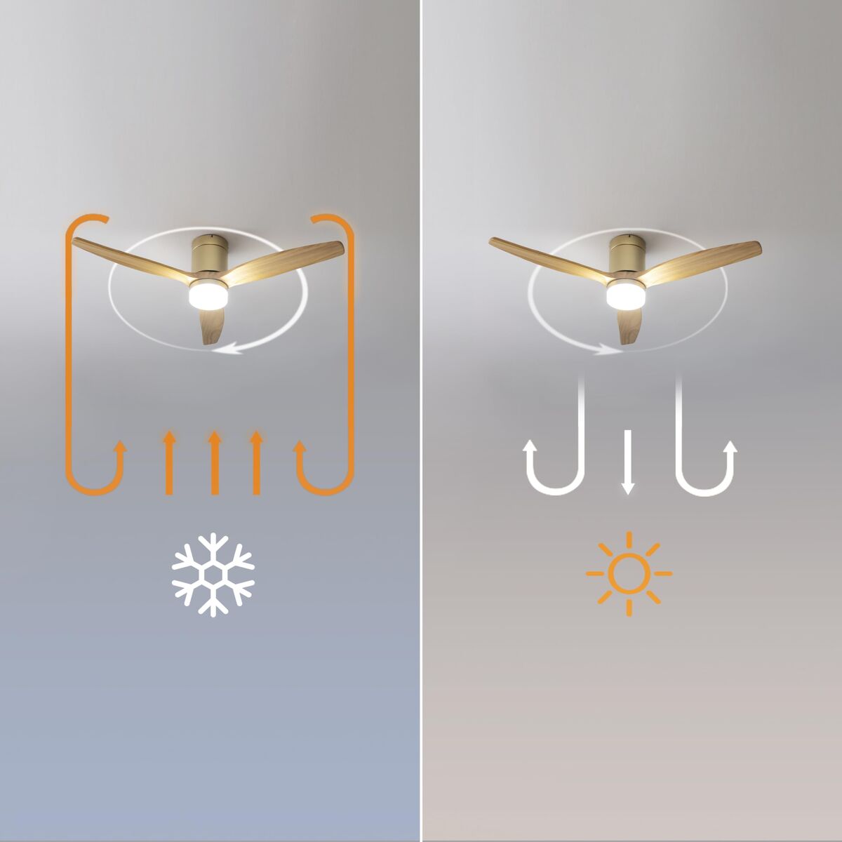 V2H8496FF5AAC4C405C139BCC0EF58D7BA0R7709003P7