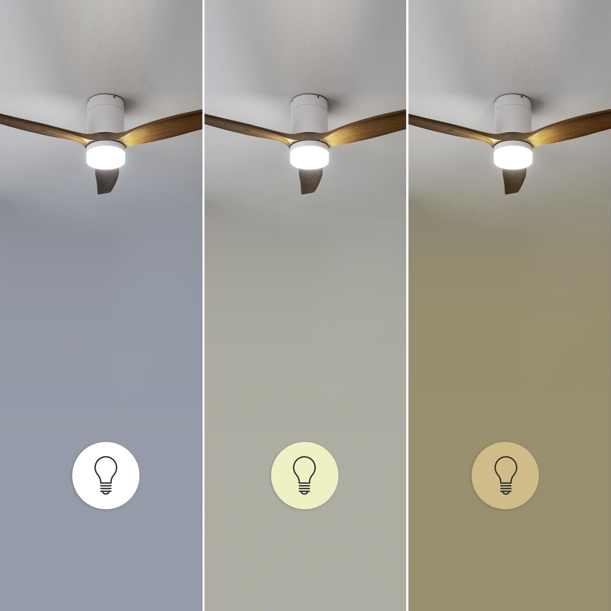 V2HD295C03C0EC2D28612ECB80628F92B42R7708924P6