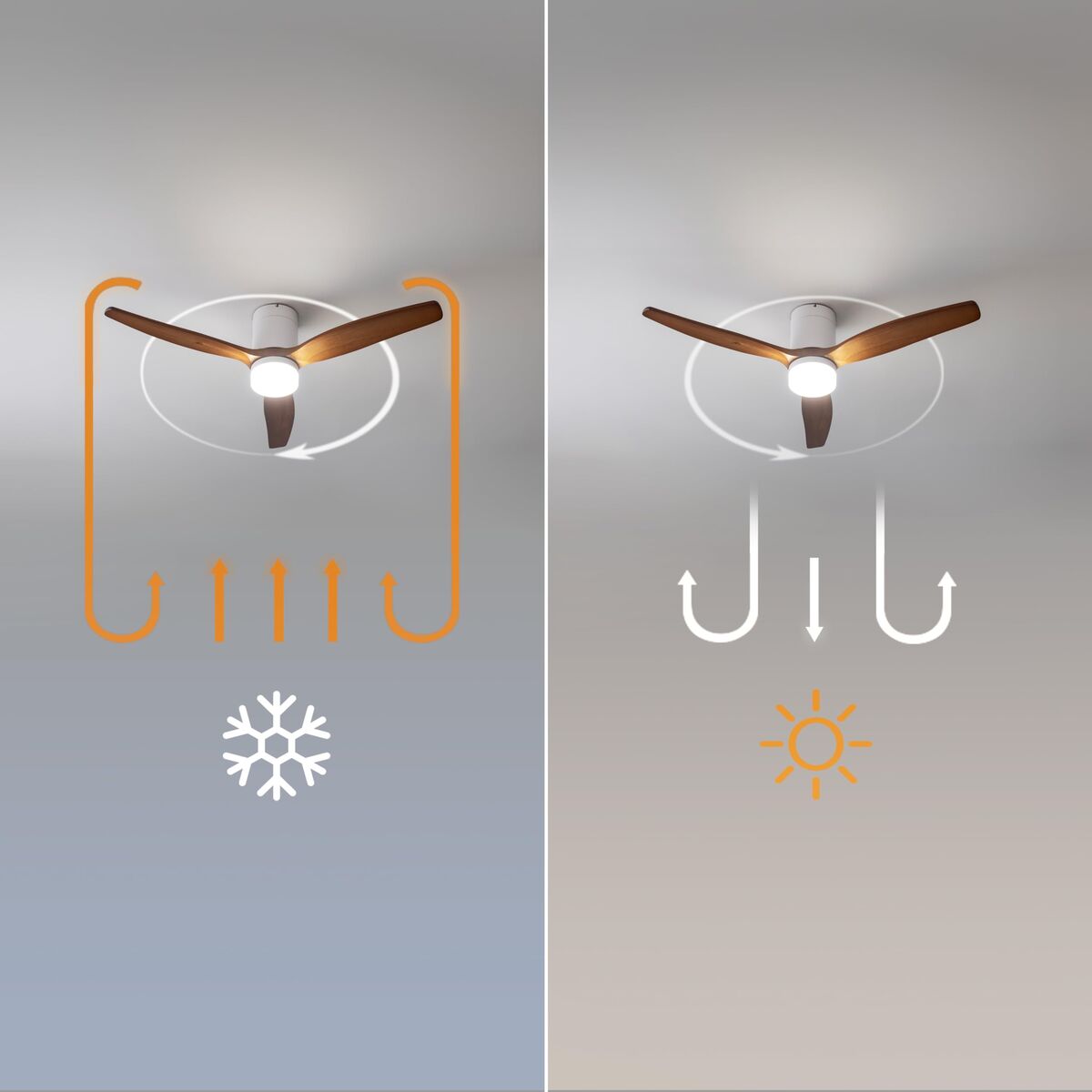 V2H33E6F5D9EEA58B6B5998B3CE7F70544FR7708925P7