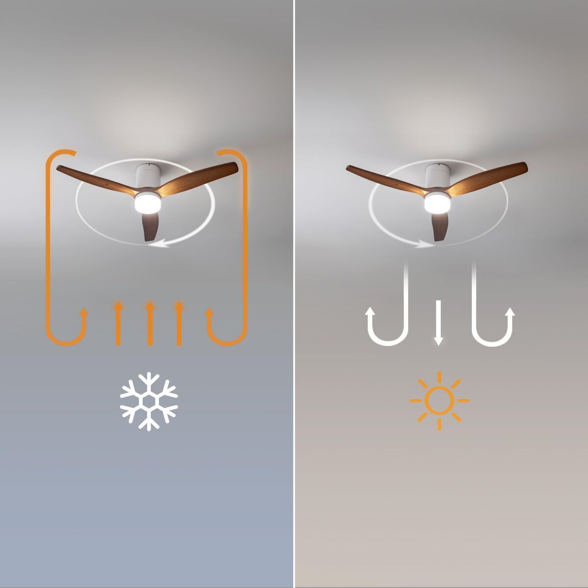 V2H771D511B0E0AF207C1B4B288CA8C41EFR7708926P8