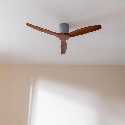 V2HB2B7EE97769BC4C7ED3F8E8D7F77FE62R7649278P2