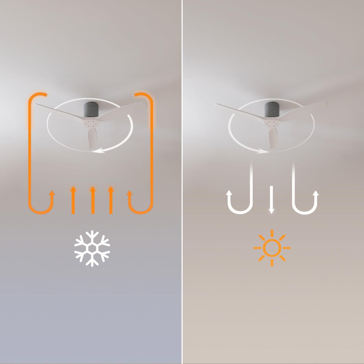 V2H2C1C26DE1ED659A58075419479F806B7R7649241P5