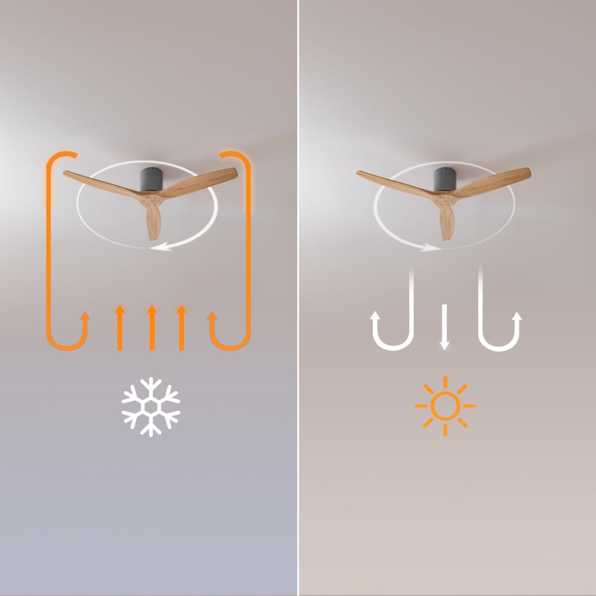 V2H2299EDA42E37B2534B05D2099D9E978FR7649260P5