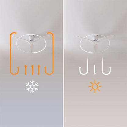 V2H66CB4483ED41E7B87F0F0EF8DFE3C53BR7649269P6