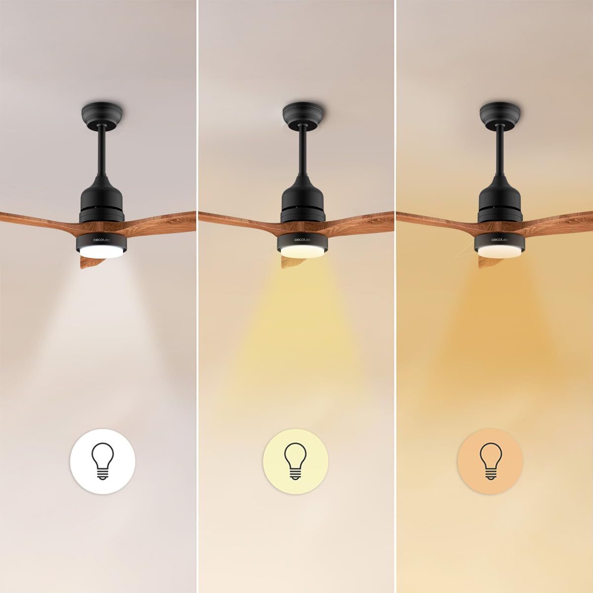 V2HC032D7B670130D7B389A90ED1C912E9CR7708792P4