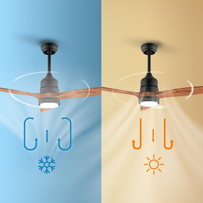 V2H963E684779CF53DF01629233EBEF97A2R7708810P8