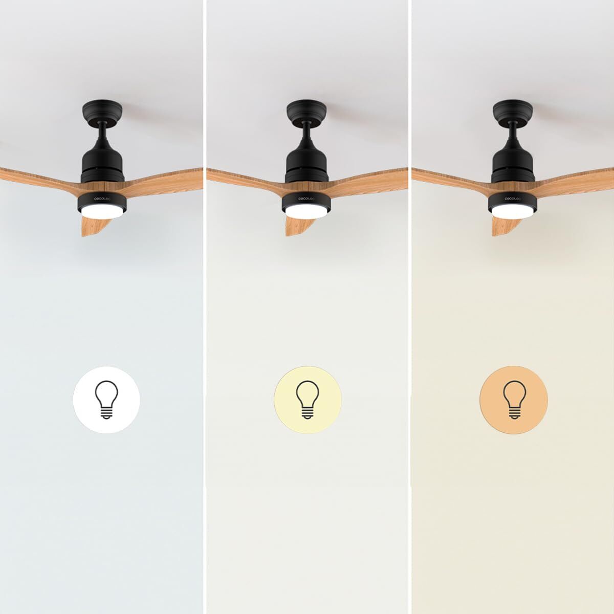 V2H934593F26658F1B82461F61B8B6620F0R7708891P3