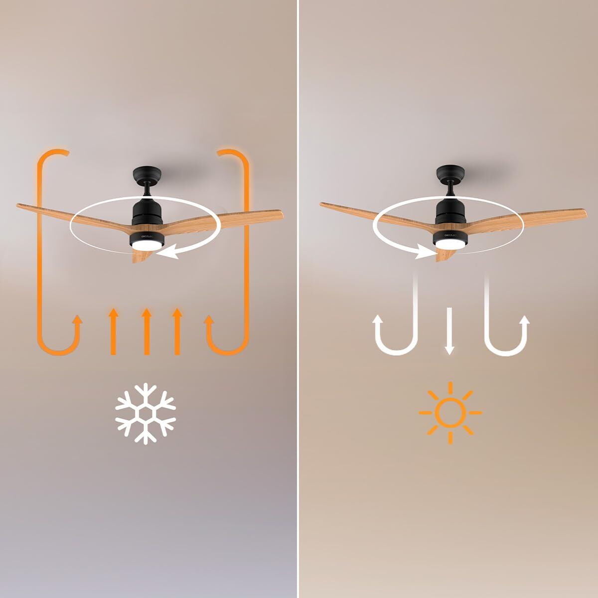 V2HF4CFDE2FA343FBDC7771410F1AEBC142R7708902P6