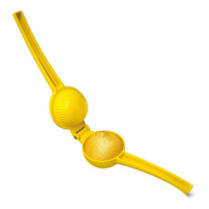 V1H1905AEBEE04645D79517AB55E03B393BRP2