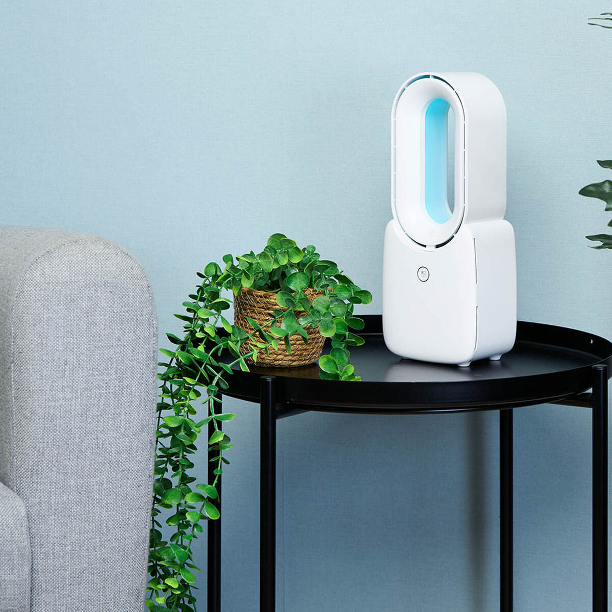 V3HF7FA1C6274F31CA22C68189CACEBCD36R6683541P6