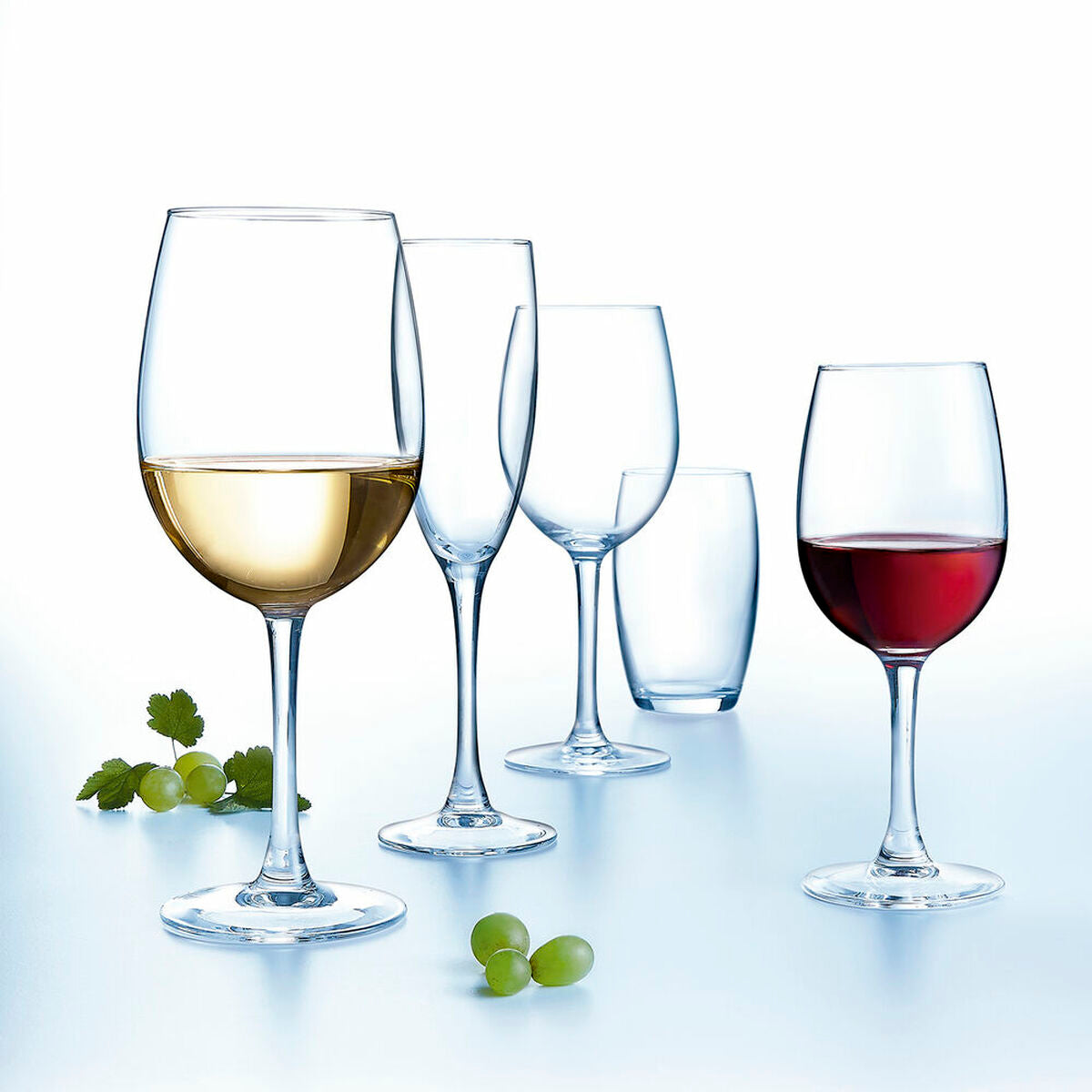 verre de vin Arcoroc 6 Unités (36 cl)