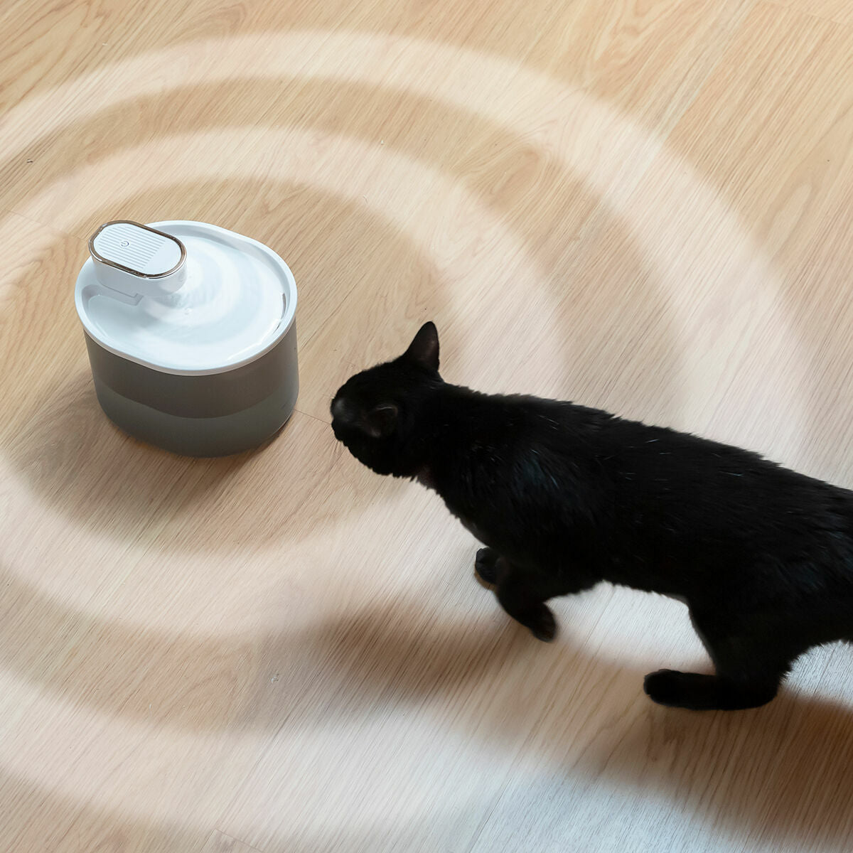 Oplaadbare waterfontein met sensor voor katten Refopet InnovaGoods