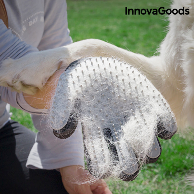 Handschoen om Huisdieren te Kammen en Masseren Relpet InnovaGoods
