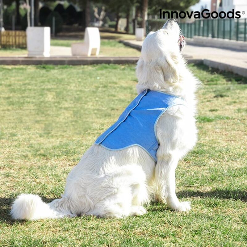 InnovaGoods Verkoelend Vest voor Grote Huisdieren - L